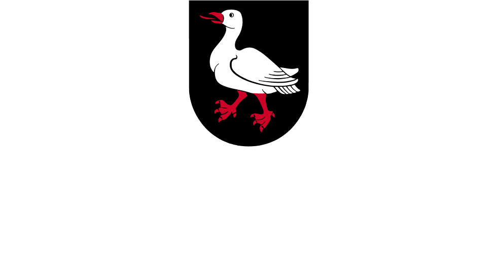 Сарганс