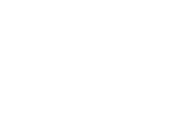 Тула и Ясная поляна